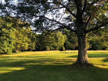 Rebecca Rutstein and Dina Wind to be featured in The Bower, Native Garden and Sculpture Park