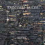 Radcliffe Bailey