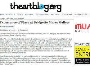 "Experience of Place" reviewed by the artblog