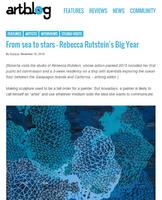 "From sea to stars - Rebecca Rutstein's Big Year" on artblog