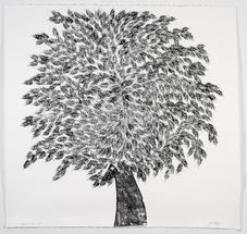 TD Forests "Art for Trees" Online Auction Live