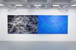 Lane, Allan. "Rebecca Rutstein (In)visible Structures," Dosage Magazine, 4/7/25.