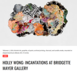 Holly Wong: Incantations at Bridgette Mayer Gallery, by Allan Lane, Dosage Magazine, October 29, 2024