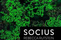 Rebecca Rutstein: Socius
